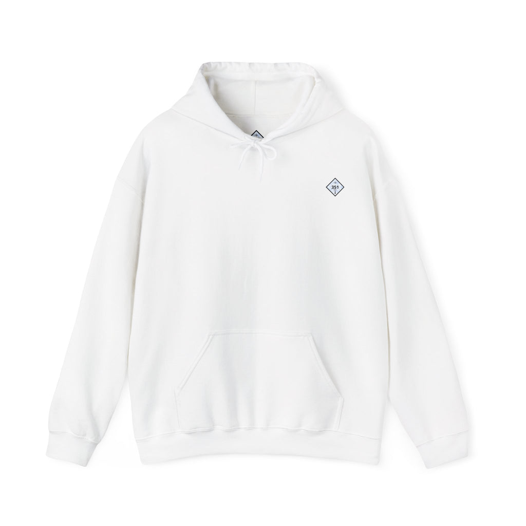 Hoodie 351 District